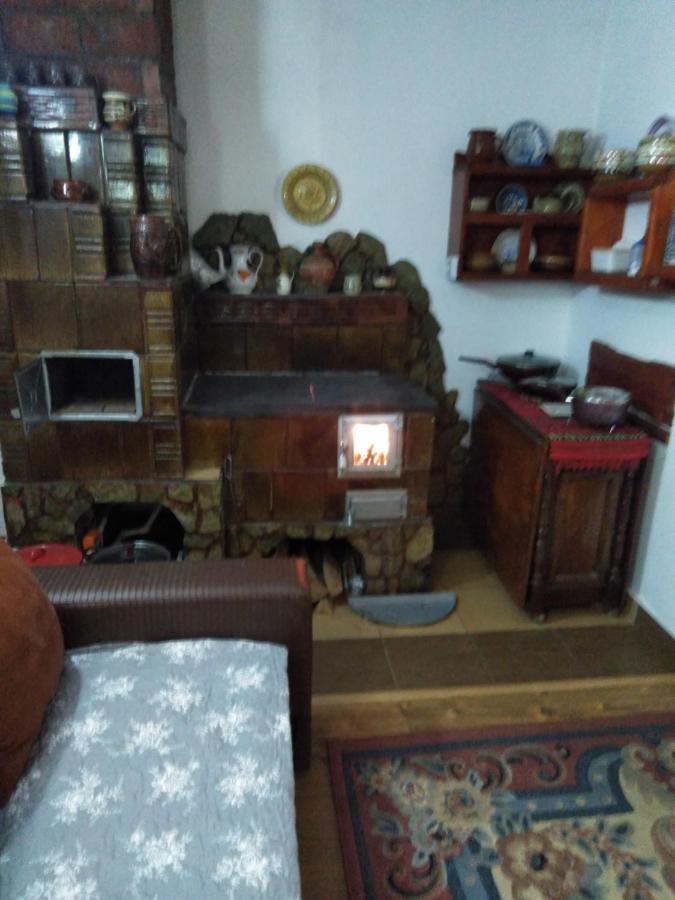 Cabana Ollie Retezat Riu Barbat المظهر الخارجي الصورة