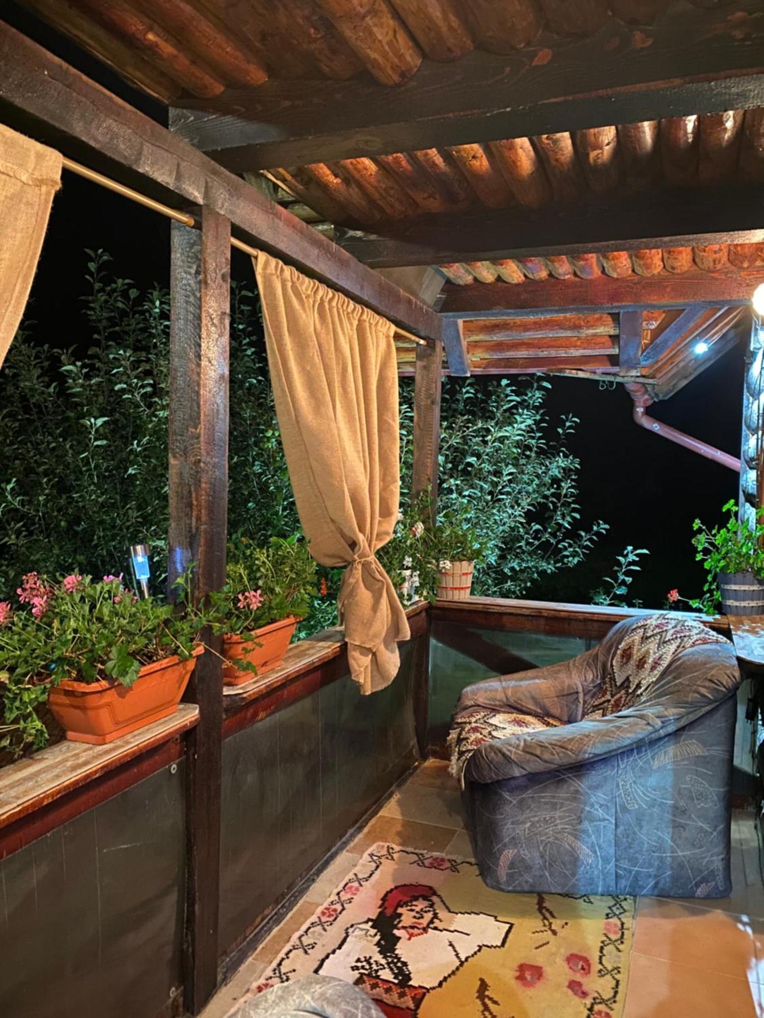 Cabana Ollie Retezat Riu Barbat المظهر الخارجي الصورة