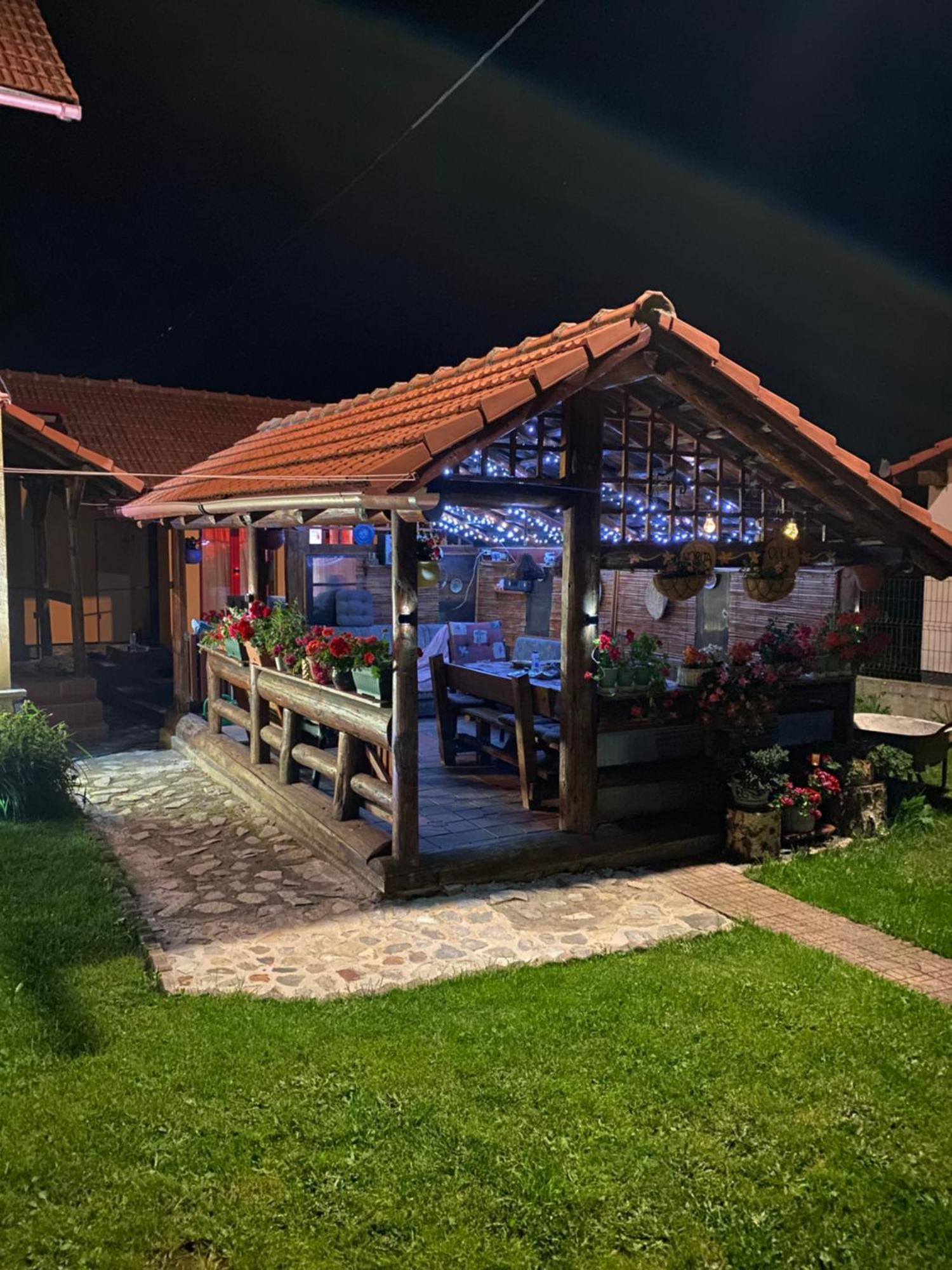 Cabana Ollie Retezat Riu Barbat المظهر الخارجي الصورة